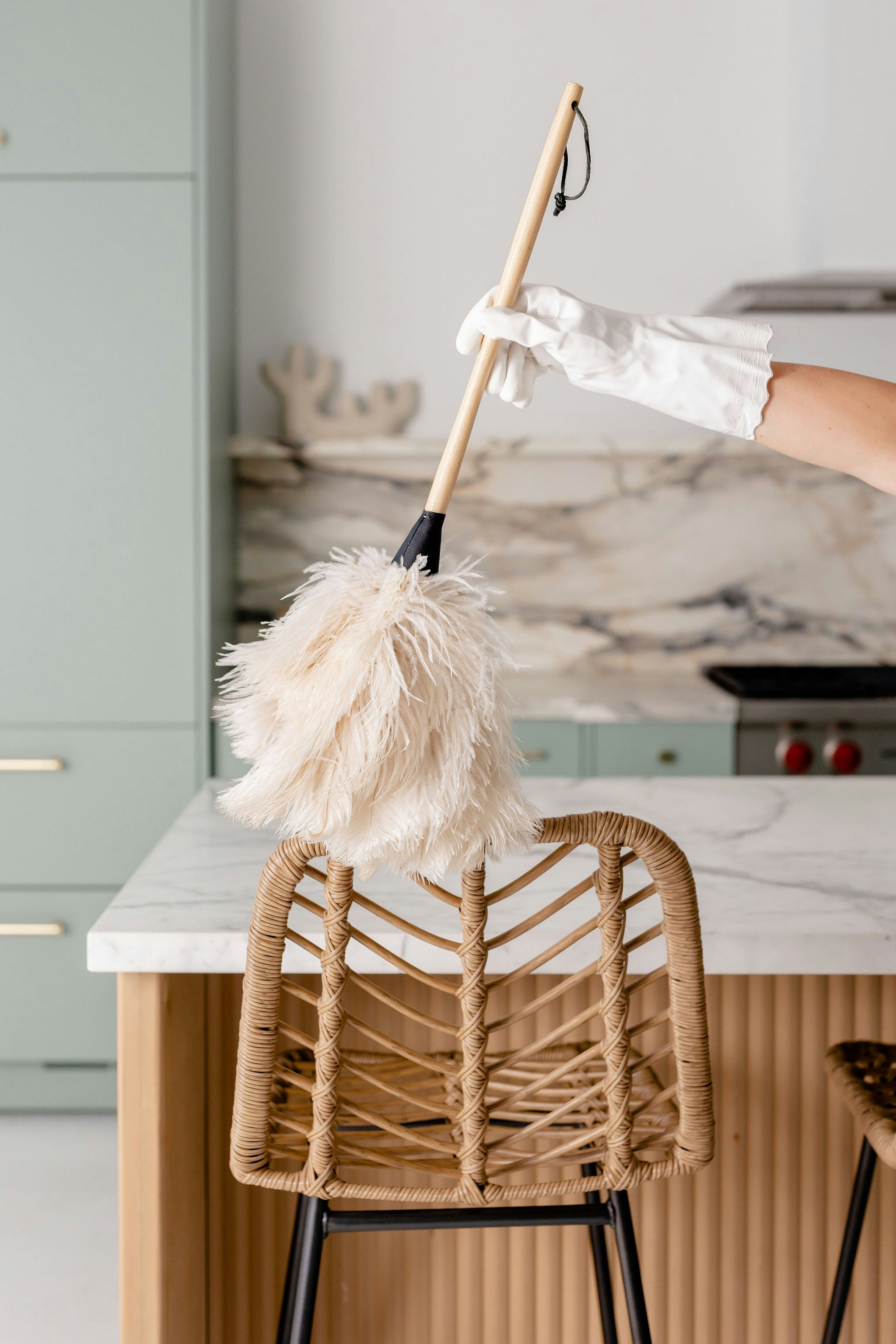 Professional cleaning tools and supplies
